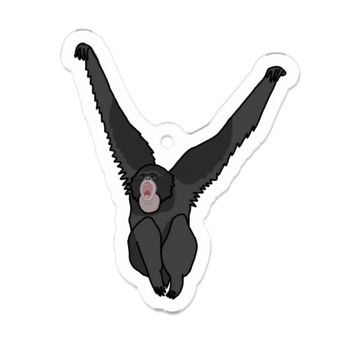 ふくろてながざる