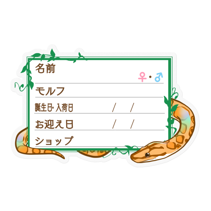 ใ๐ใๅๅในใใใซใผใใใฉใใธ(ใใคใ) โใใฟ