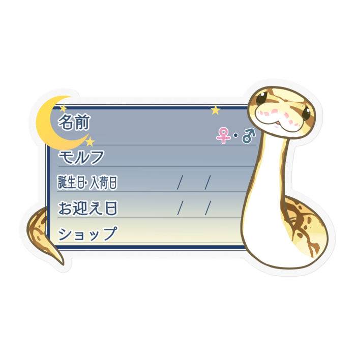 【🐍お名前ステッカー】ボールパイソン(クイーンビー) ‐夜