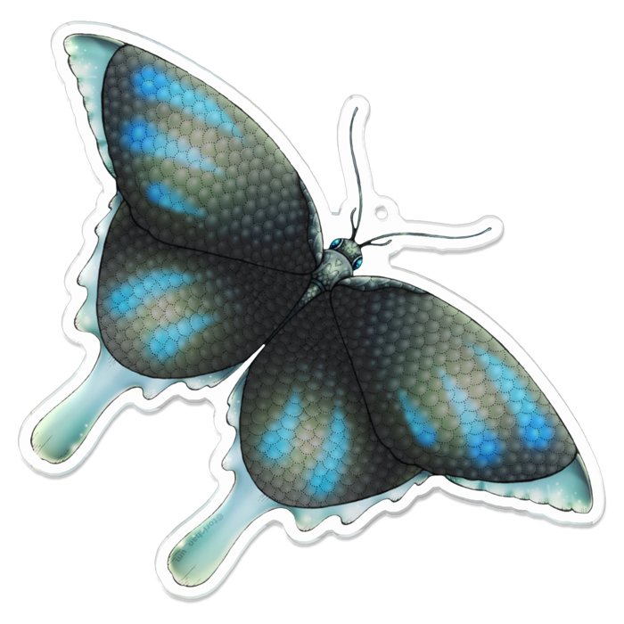 青　ー　 100 x 100㍉／コーティングあり