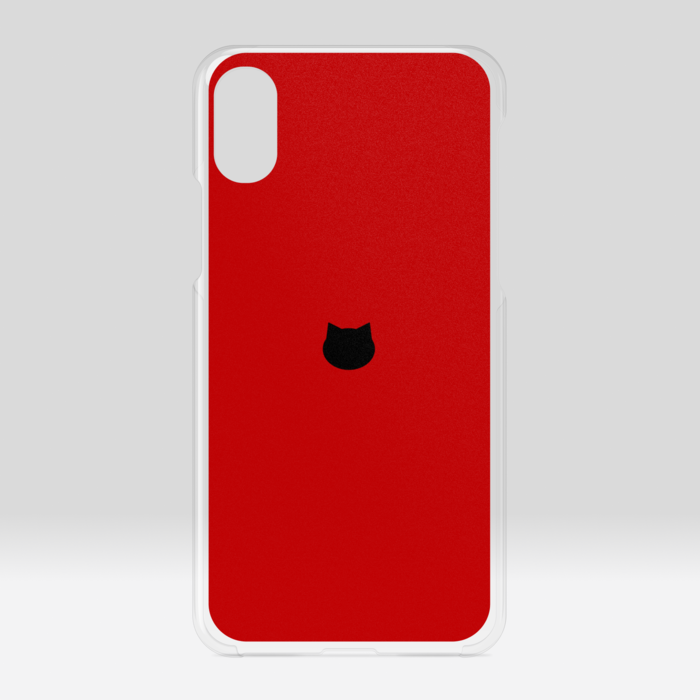 iPhone X / XS