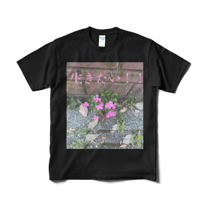 Tシャツ（短納期） - M - ブラック