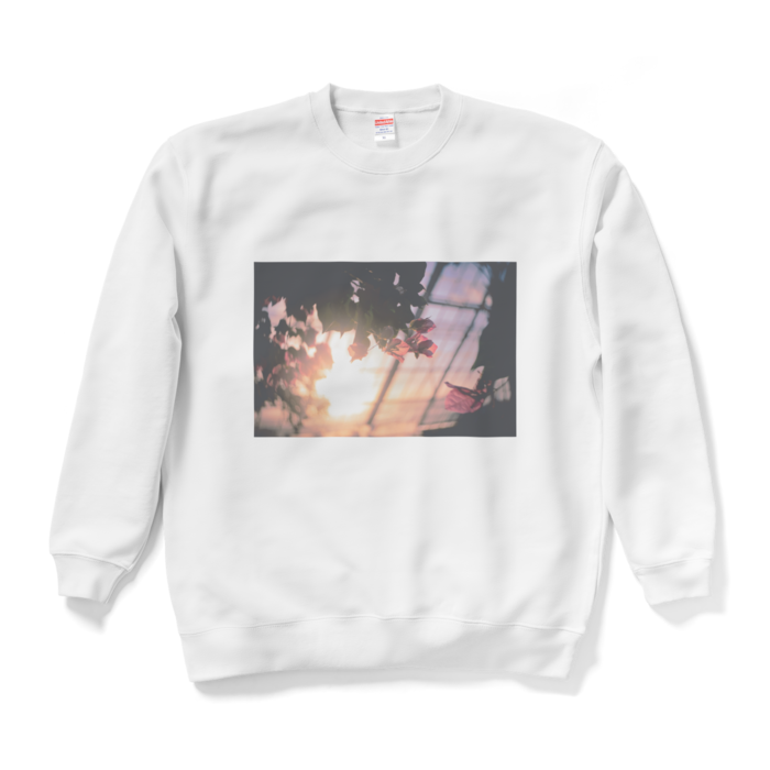 スウェット - XL - ホワイト