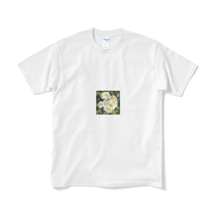 Tシャツ（短納期） - M - ホワイト