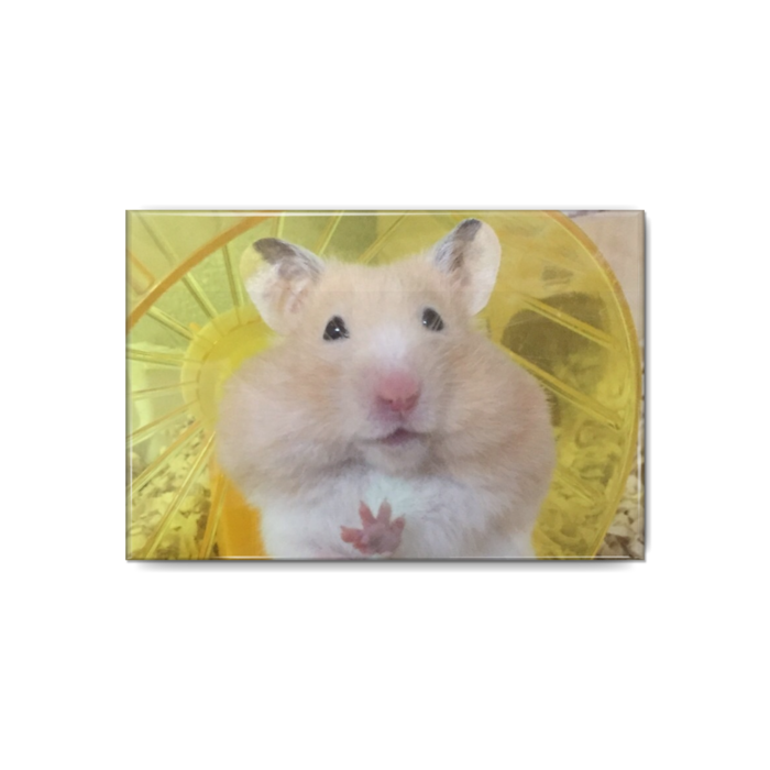 缶バッジ - 80x54mm