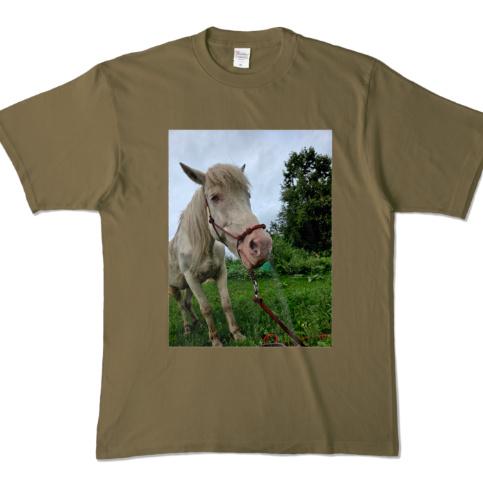 カラーTシャツ - XL - オリーブ (濃色)