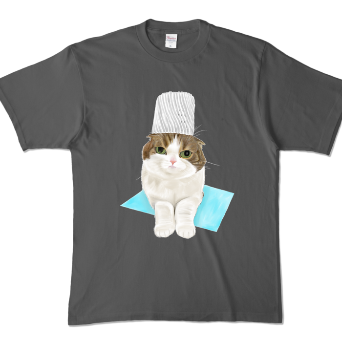 カラーTシャツ - XL - チャコール (濃色)