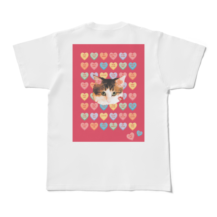 Tシャツ - M - 背面　(ピンク)