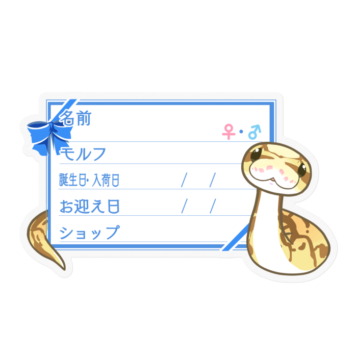  ‐リボン／ブルー