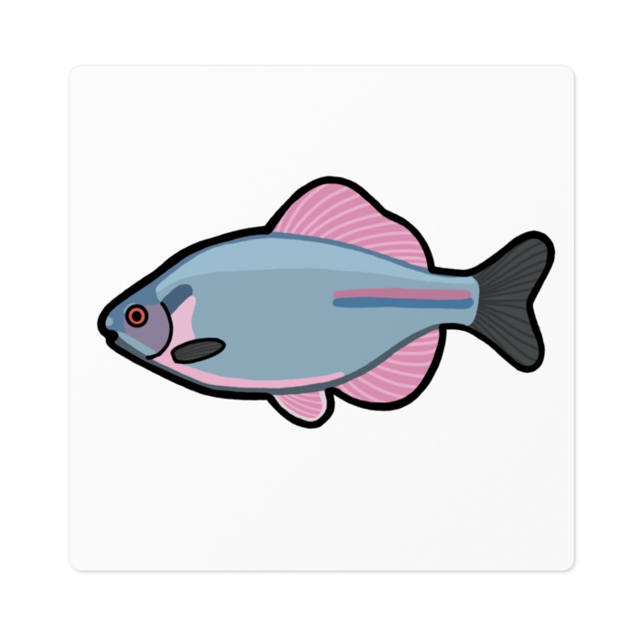 ステッカー - 100 x 100 (mm)(1)