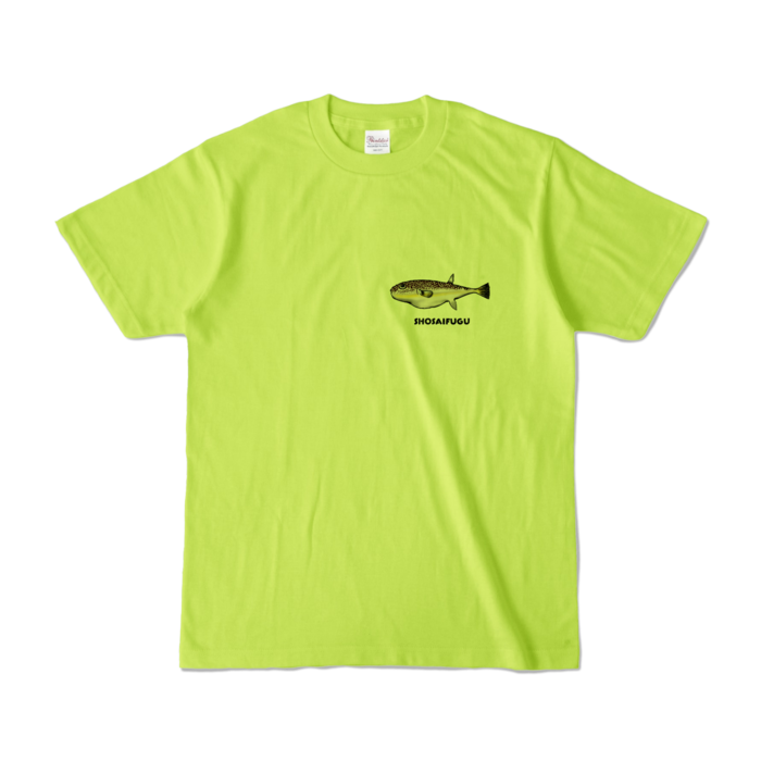 カラーTシャツ - S - ライトグリーン (淡色)