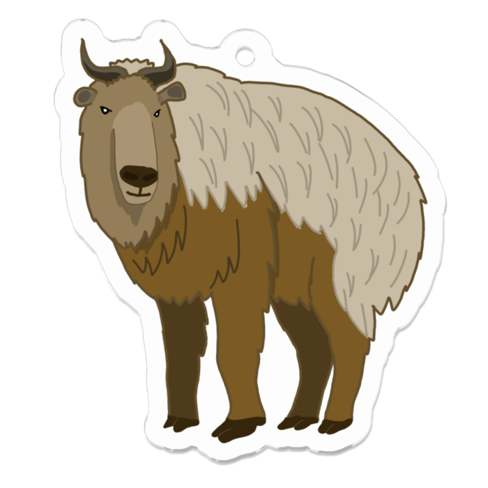 ごーるでんたーきん