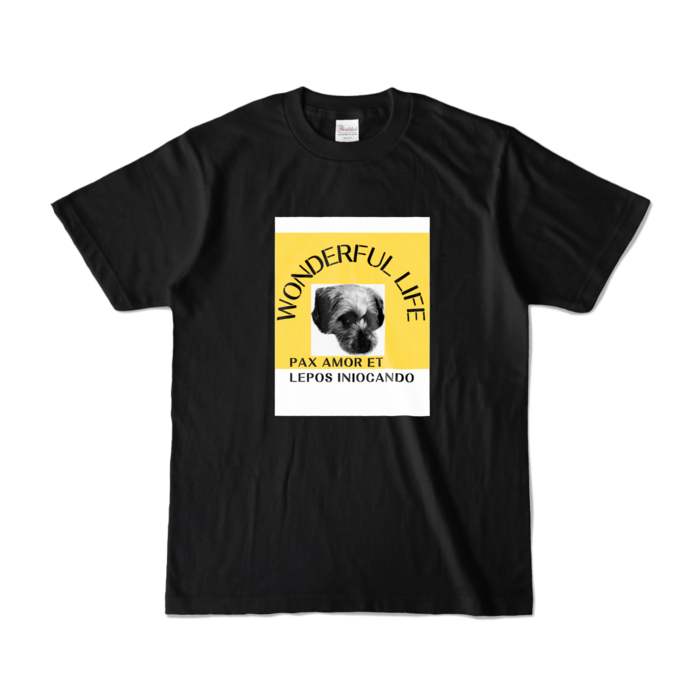 カラーTシャツ - S - ブラック (濃色)