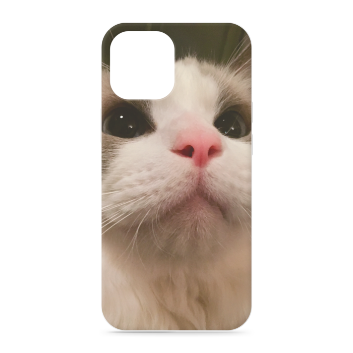 iPhoneケース - iPhone12 ProMax - 正面印刷のみ
