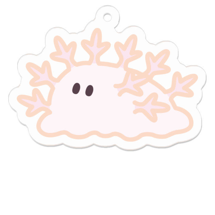 シンリンウミウシ