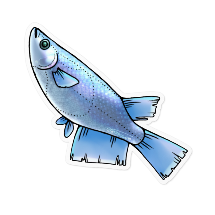 幹之　ー　ホワイト／100 x 100㍉