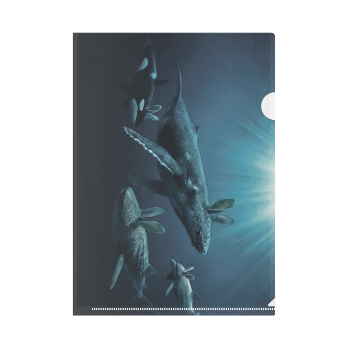 クリアファイル - A4