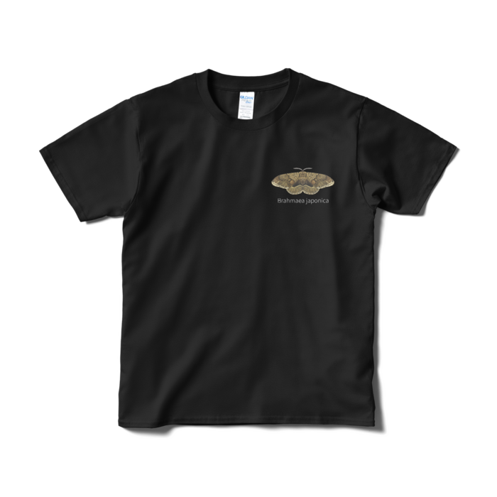 Tシャツ（短納期） - S - ブラック