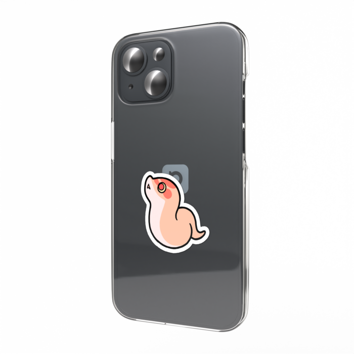 アルビノスーパーコンダ