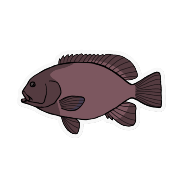 ステッカー - 100 x 100 (mm)