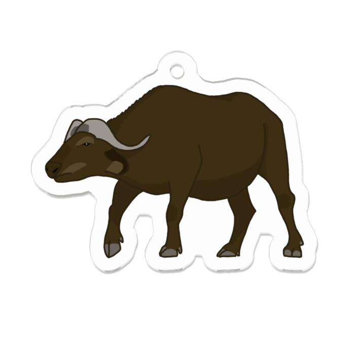 あふりかすいぎゅう