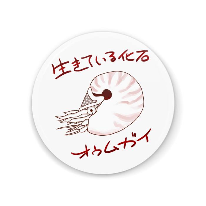 缶ミラー - 56mm