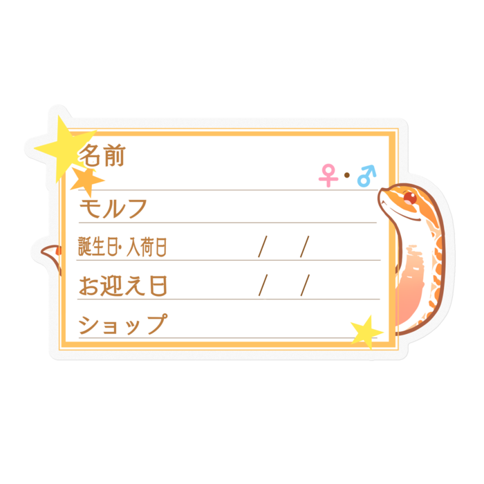 【🐍お名前ステッカー】シシバナ(アルビノ) ‐星