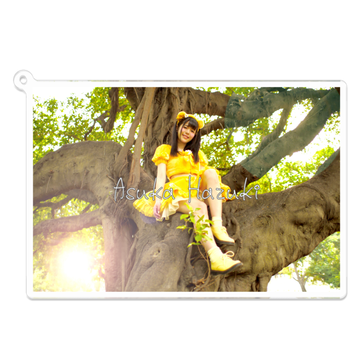 アクリルキーホルダー - 100 x 100 (mm)