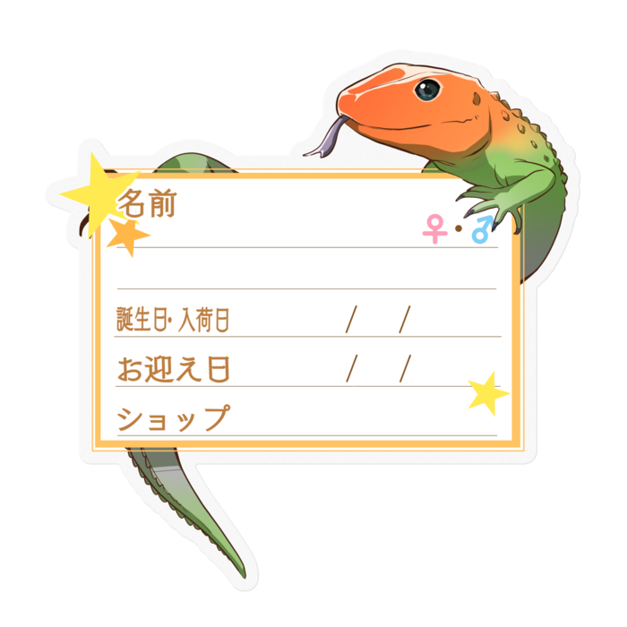 【🦎お名前ステッカー】カイマントカゲ-星