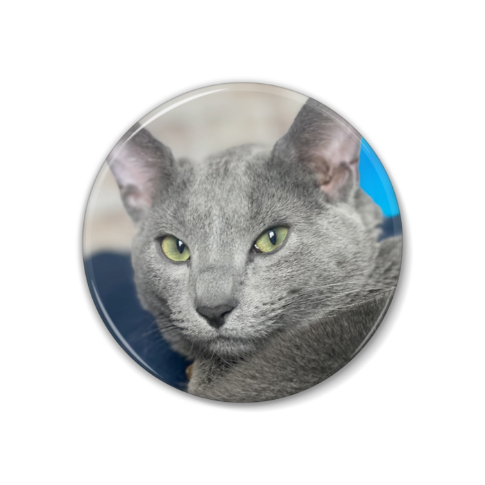 KUSOCAT缶バッジ - 38mm