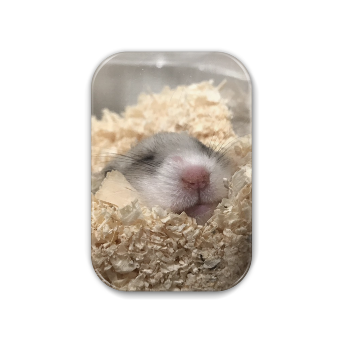 缶バッジ - 角丸 51x76mm