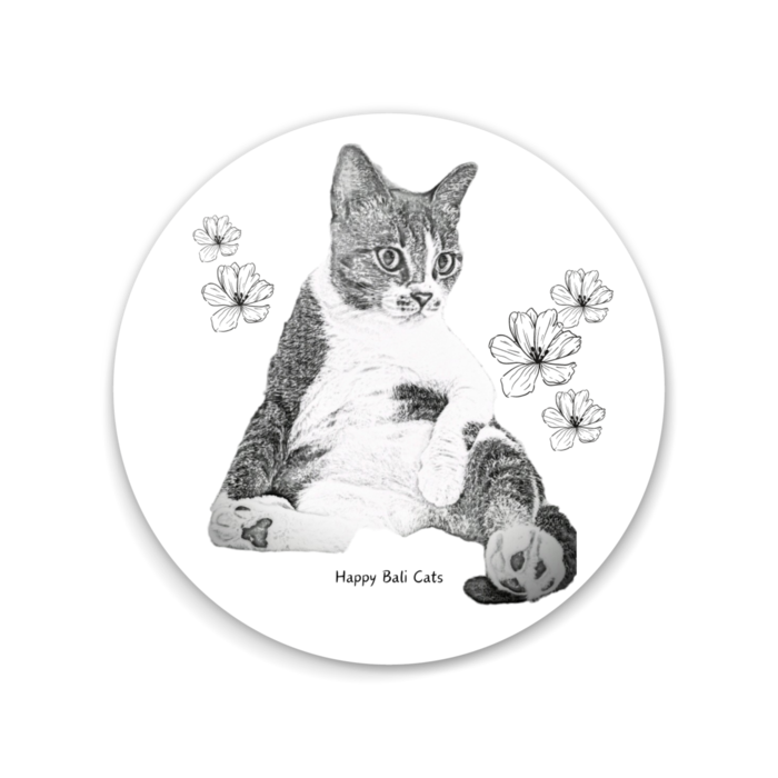 缶ミラー - 75mm
