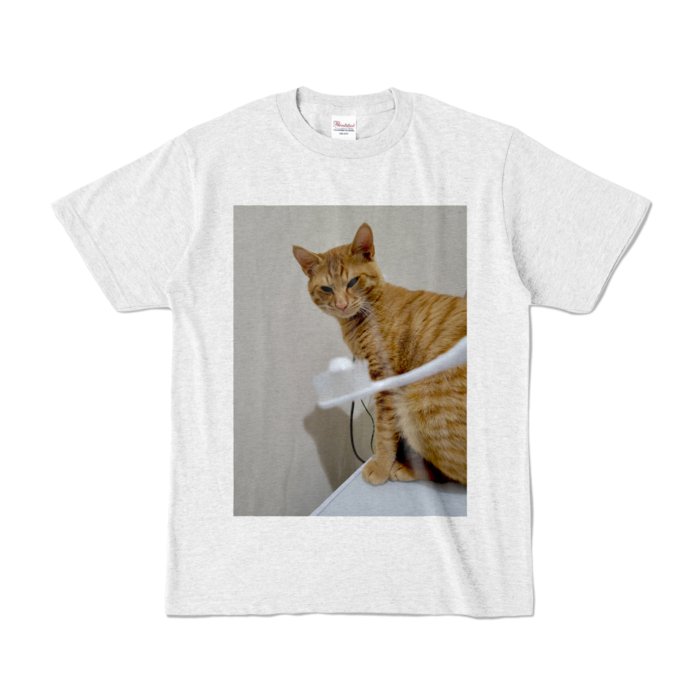 カラーTシャツ - S - アッシュ (淡色)