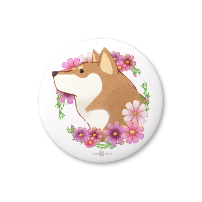 柴犬さんと花便り缶ﾊﾞｯﾁ -秋桜・長月(9月)-