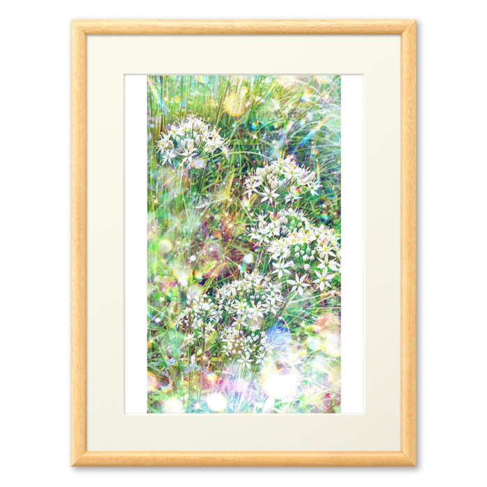 複製画(プリモアート) - A3
