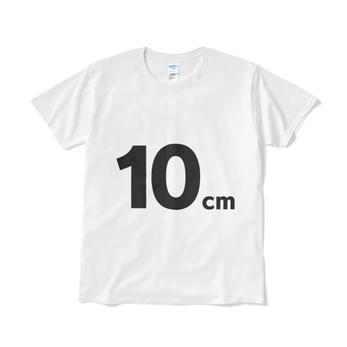 10cm(実際の大きさとは異なる場合があります)Tシャツ - L - ホワイト