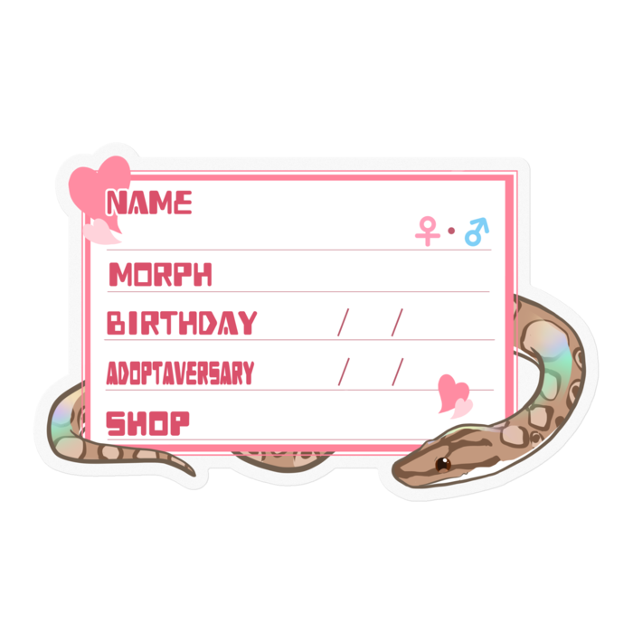 【🐍お名前ステッカー】コロニジ(ノーマル) ‐ ハート／ピンク(英語)