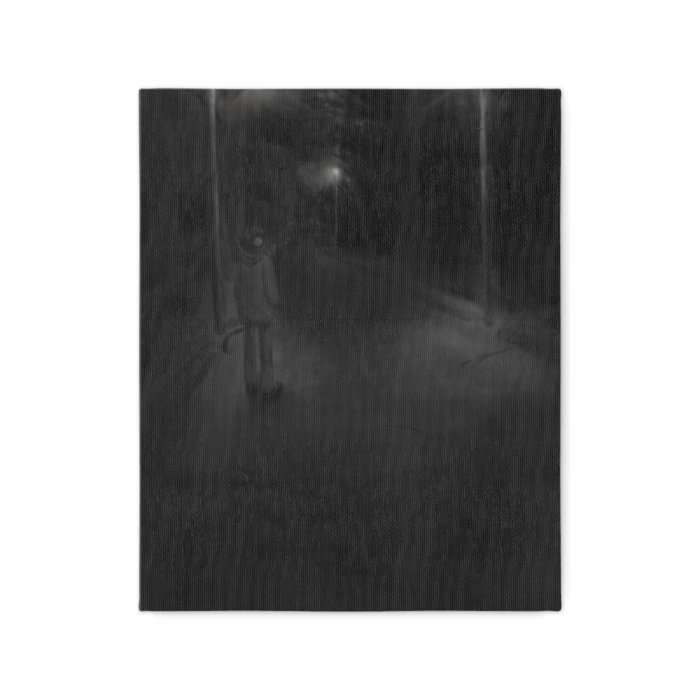 キャンバス - F3