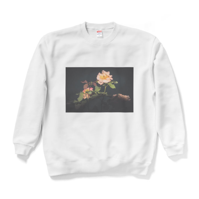 スウェット - XL - ホワイト