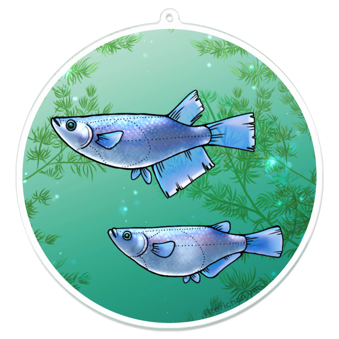 幹之　ー　100 x 100㍉／コーティングなし