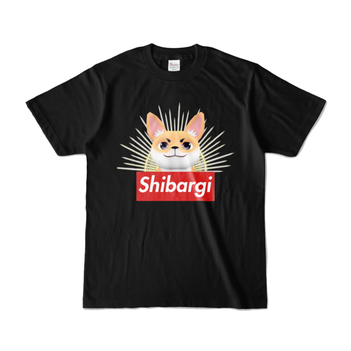 カラーTシャツ - S - ブラック (濃色)