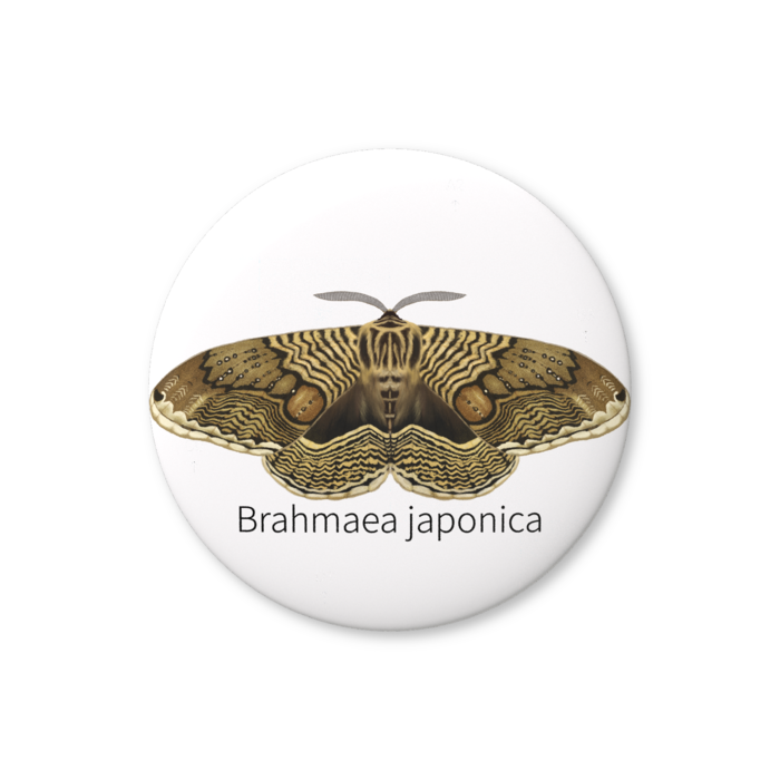 缶バッジ（バリュー） - 44mm