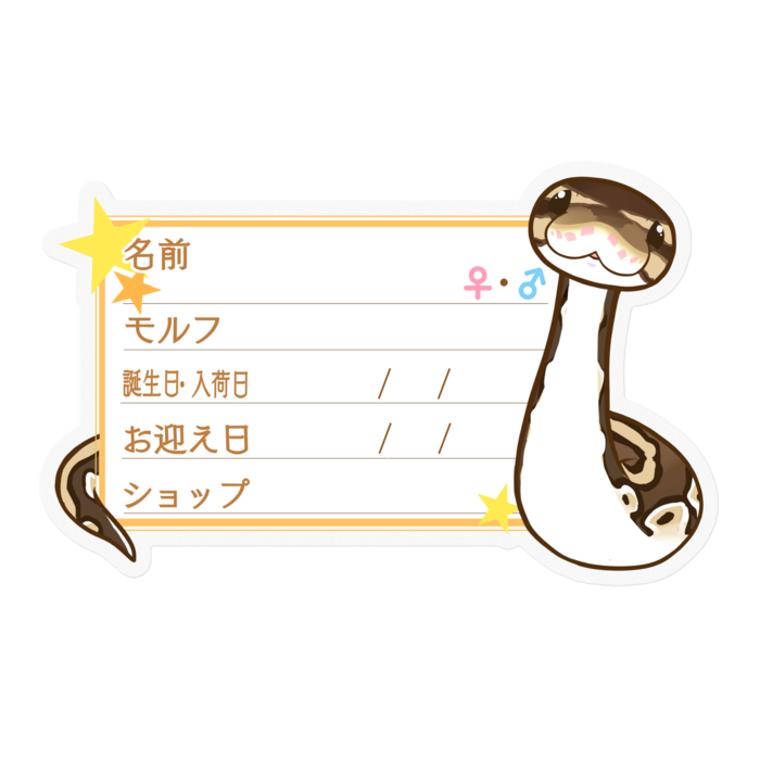 【🐍お名前ステッカー】ボールパイソン(ノーマル) ‐星