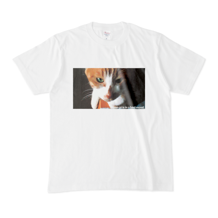 Tシャツ - M - 白