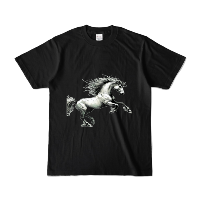 カラーTシャツ - S - ブラック (濃色)