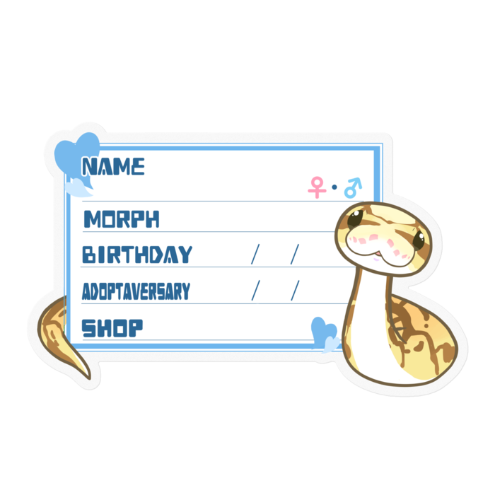 【🐍お名前ステッカー】ボールパイソン(クイーンビーミニ) ‐ハート／ブルー(英語)