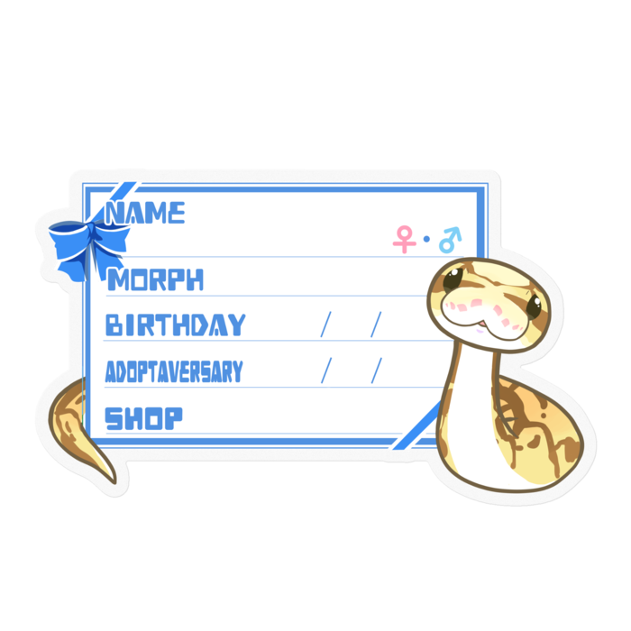 【🐍お名前ステッカー】ボールパイソン(クイーンビーミニ) ‐リボン／ブルー(英語)