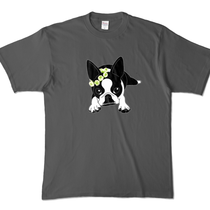 カラーTシャツ - XL - チャコール (濃色)