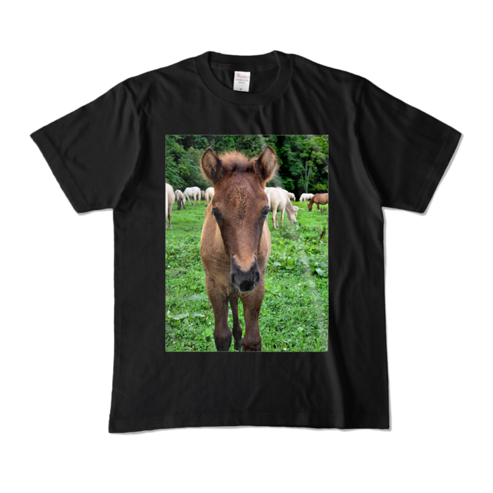 カラーTシャツ - M - ブラック (濃色)