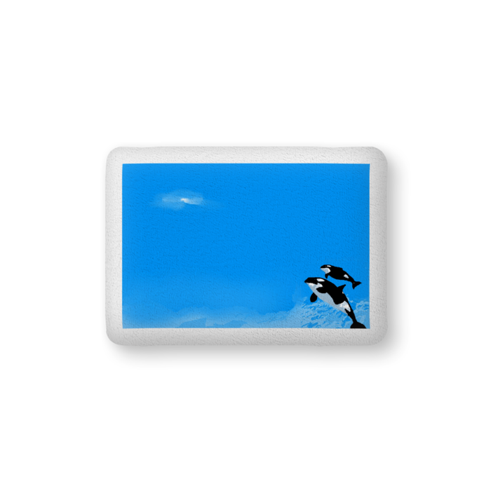 ふかふかクッション - 中（H36×W56cm） - 片面